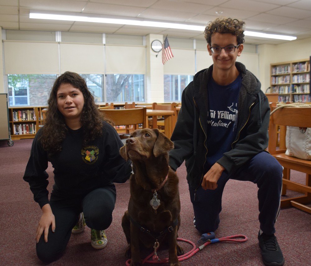 High School Students Relax With Therapy Dogs