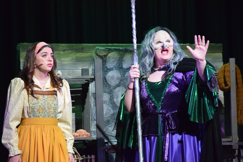 Support the LV Jesters' Production of 'Into the Woods.'