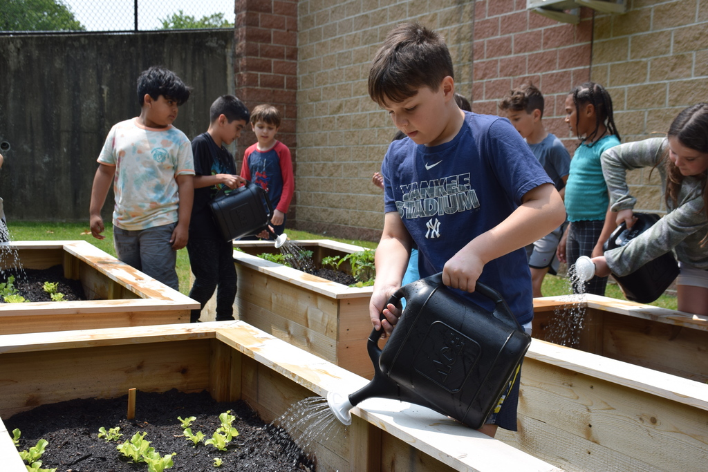 Elementary gardening 2023.