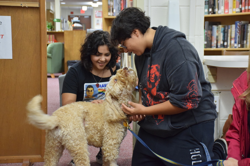 Therapy Dogs 9/28/23.